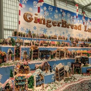 Meet your Posher, Roni